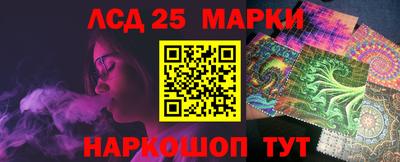 СК Абакан