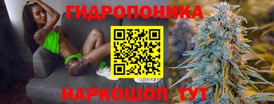 СК Абакан