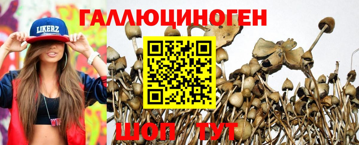 Галлюциногенные грибы мухоморы Алатырь