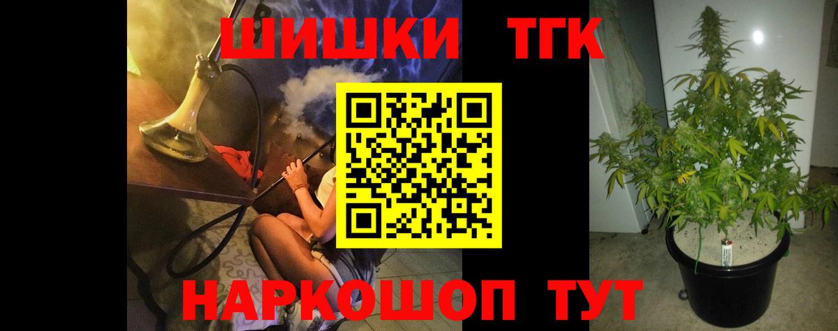 Конопля гибрид Алатырь